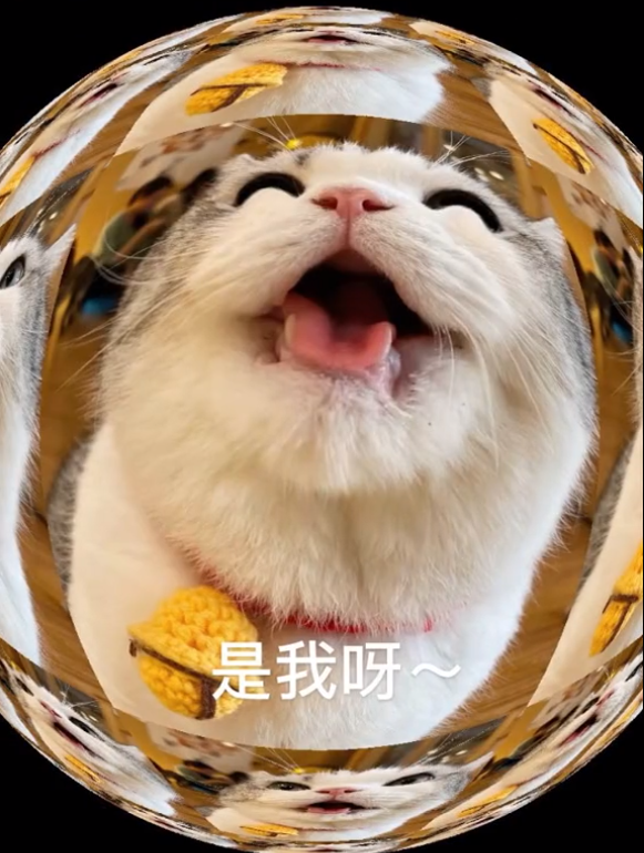 图片[38]-45个聊天撒娇必用大嘴猫表情-喜欢表情包分享—全网表情包