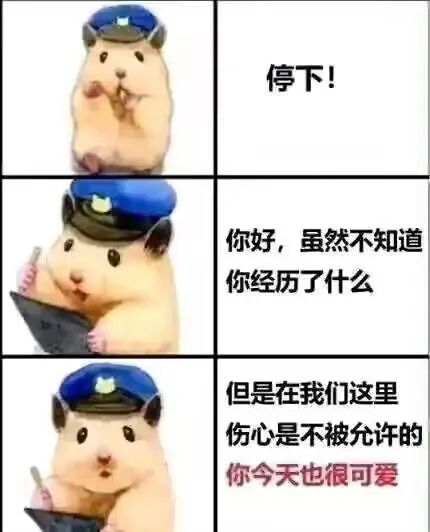 图片[15]-中午好 发表情啦-喜欢表情包分享—全网表情包