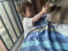 图片[1]-【GIF】猫猫算是比较克制了-喜欢表情包分享—全网表情包