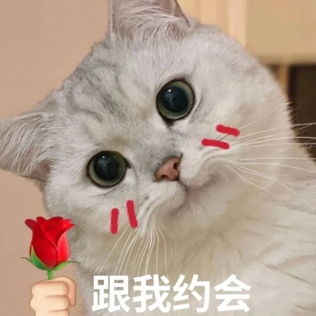 图片[20]-把心给你-喜欢表情包分享—全网表情包