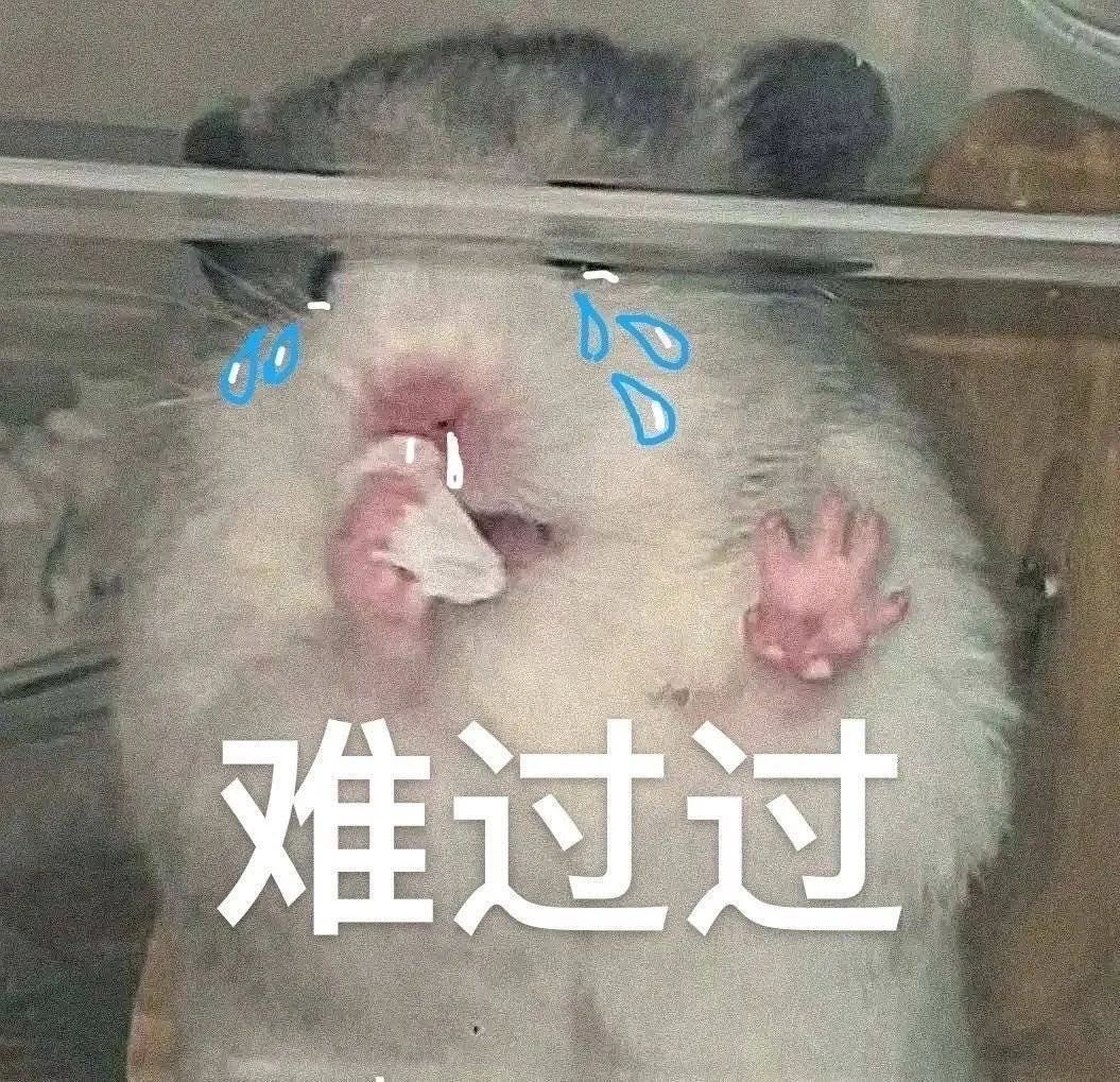 图片[25]-家人们端午安康~-喜欢表情包分享—全网表情包