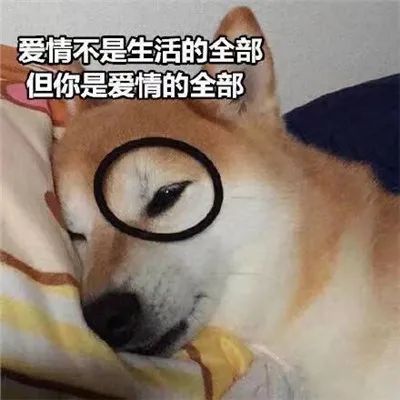 图片[1]-套路聊天表情合集-喜欢表情包分享—全网表情包