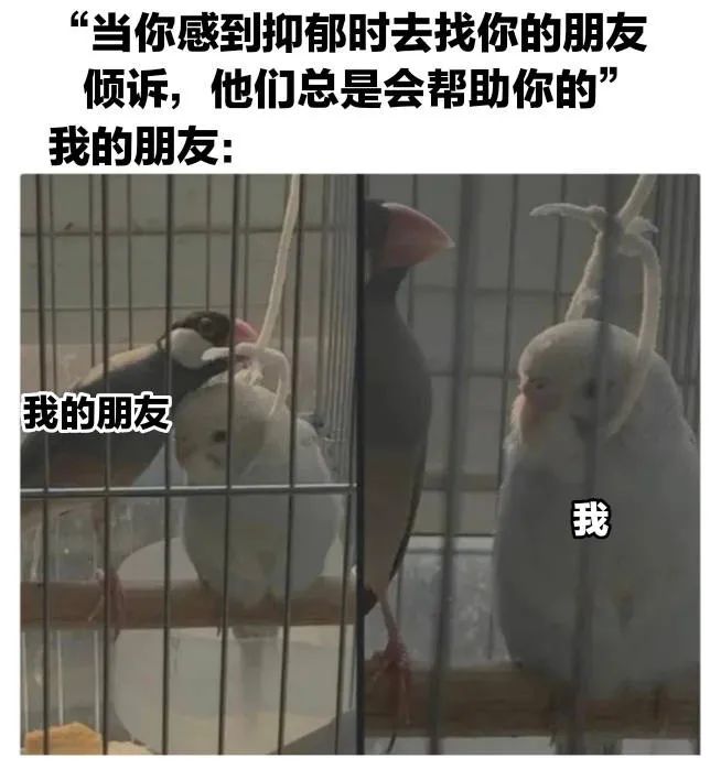 图片[18]-爷鬼混回来了-喜欢表情包分享—全网表情包