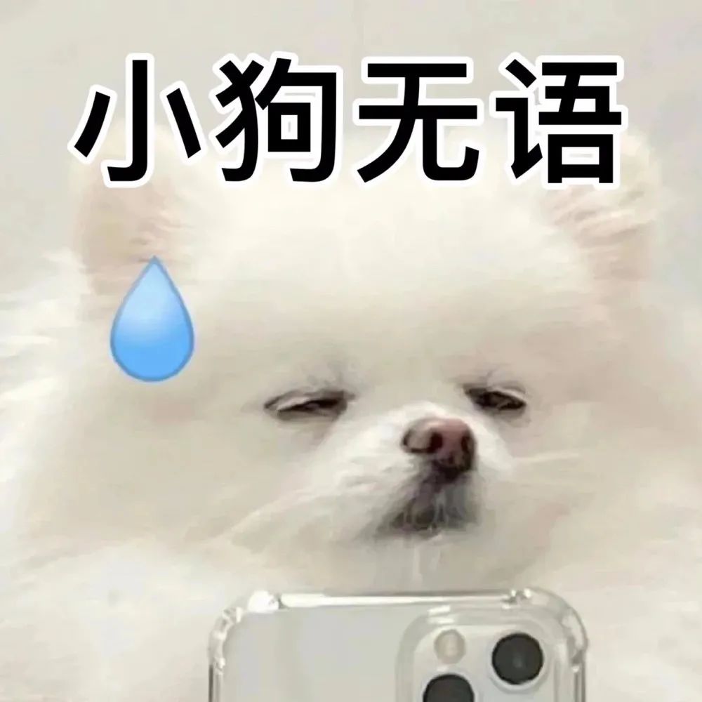 图片[22]-超级可爱的小表情包~-喜欢表情包分享—全网表情包