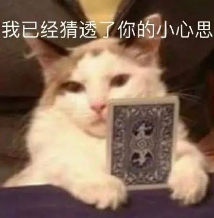 图片[5]-一整个被尬住-喜欢表情包分享—全网表情包