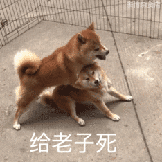 图片[29]-60个沙雕聊天斗图表情包-喜欢表情包分享—全网表情包