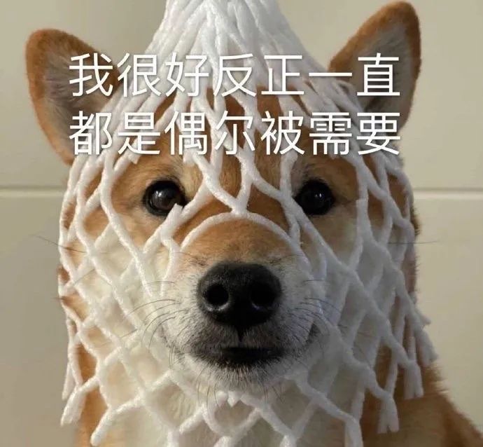 图片[1]-可爱的猫猫狗勾表情增加了-喜欢表情包分享—全网表情包