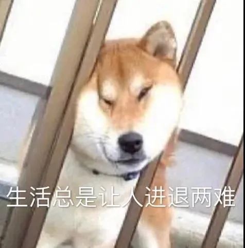 图片[12]-我能和你用情侣头像吗-喜欢表情包分享—全网表情包