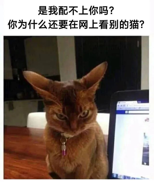 图片[17]-你在狂什么-喜欢表情包分享—全网表情包