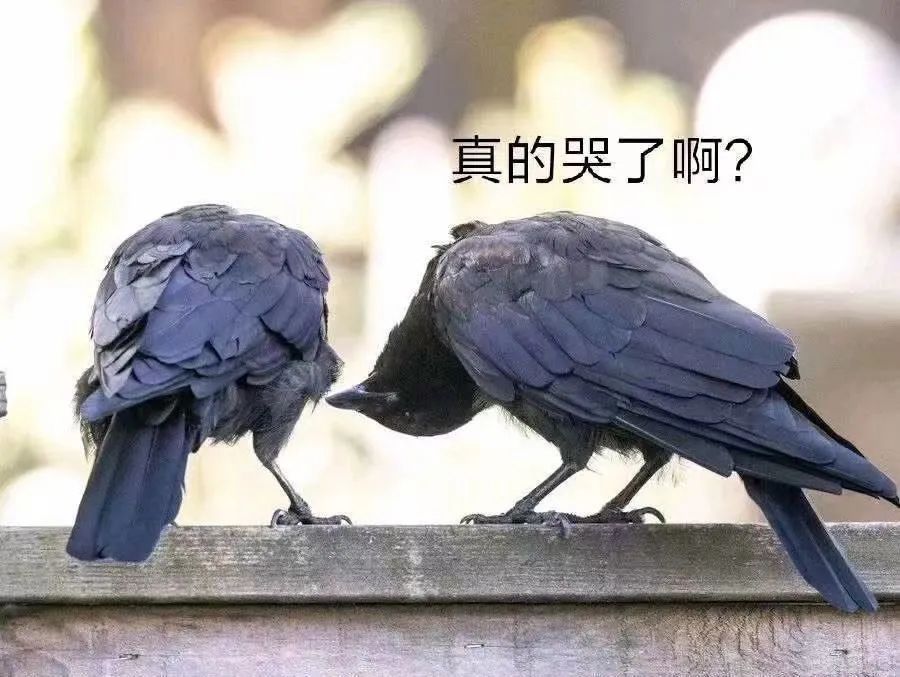 图片[26]-家人们端午安康~-喜欢表情包分享—全网表情包