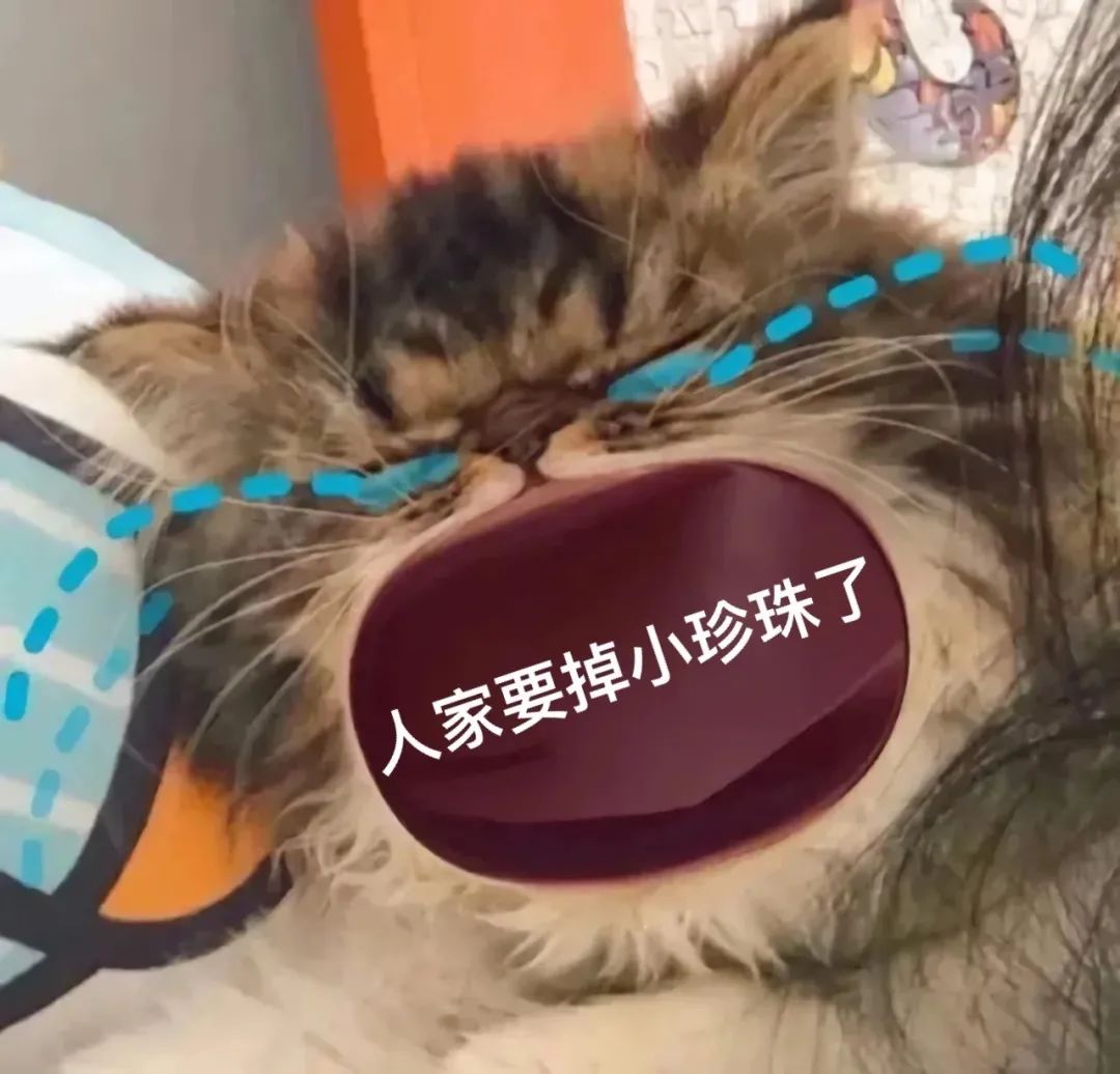 图片[4]-45个聊天撒娇必用大嘴猫表情-喜欢表情包分享—全网表情包