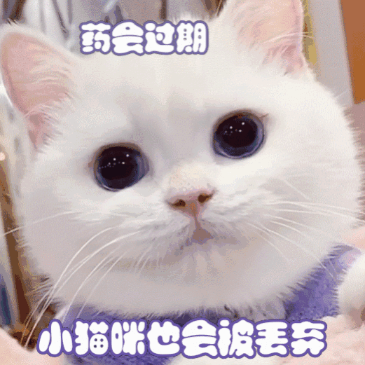 图片[55]-60个聊天可爱表情包-喜欢表情包分享—全网表情包