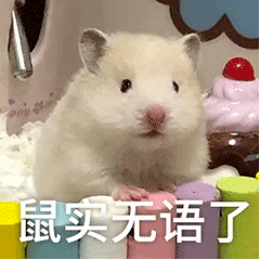 图片[10]-有猪 是谁我不说-喜欢表情包分享—全网表情包