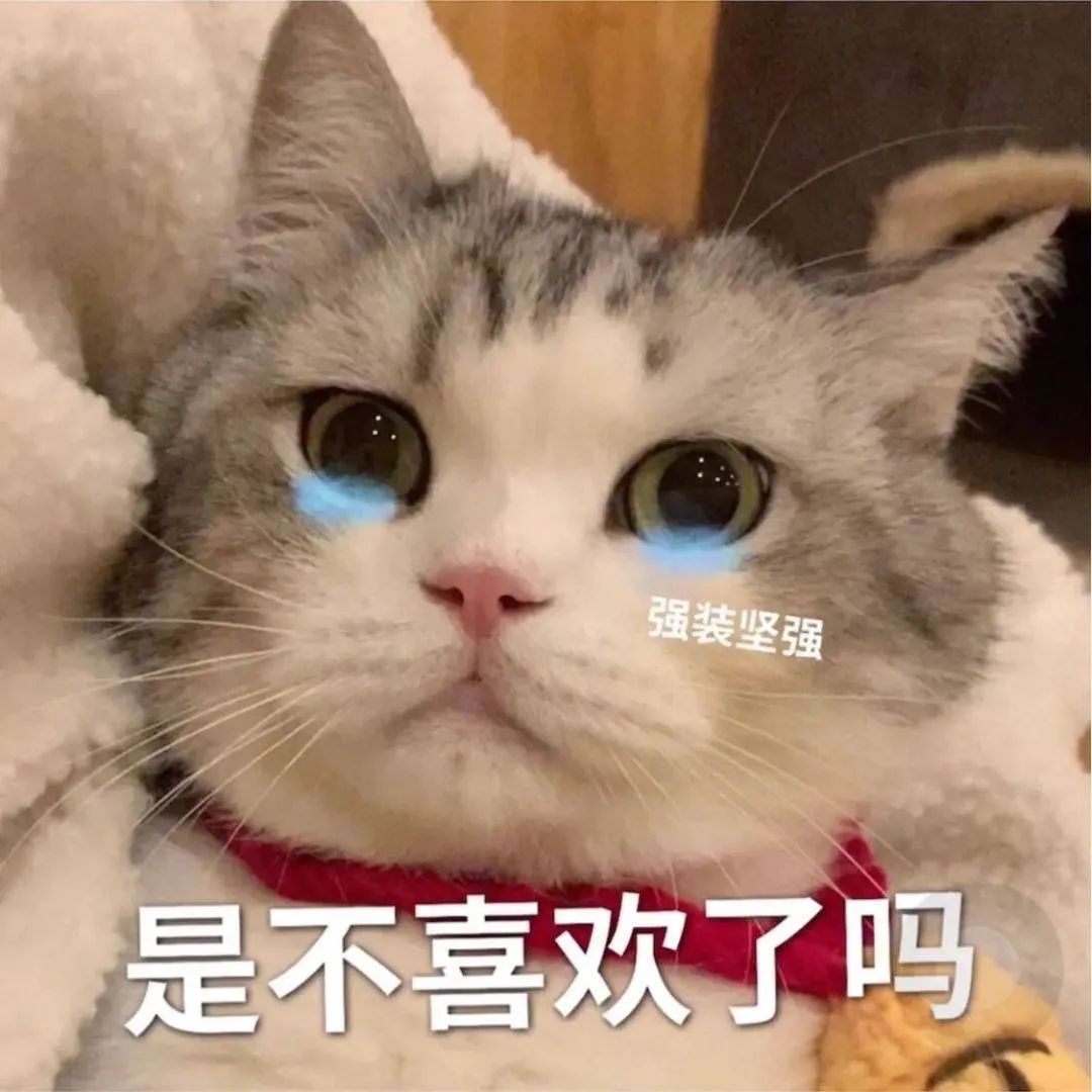图片[7]-可爱的猫猫狗勾表情增加了-喜欢表情包分享—全网表情包