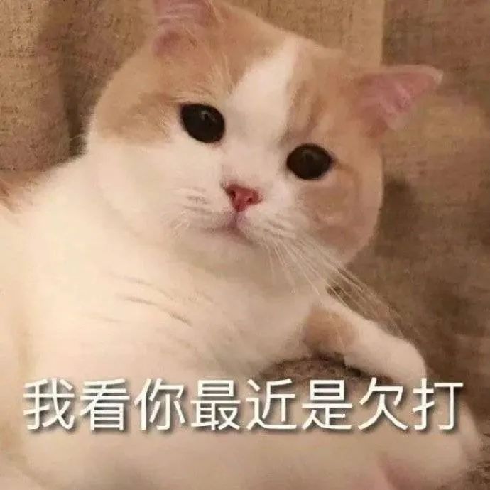 图片[30]-系啊 我介样的人整莫会被爱-喜欢表情包分享—全网表情包