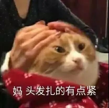 图片[27]-拿撸路多-喜欢表情包分享—全网表情包