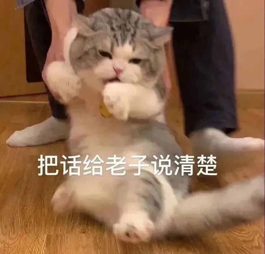 图片[7]-爷鬼混回来了-喜欢表情包分享—全网表情包