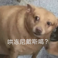 图片[12]-沙雕表情包-喜欢表情包分享—全网表情包