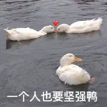 图片[26]-你说的很有道理 但是关我p事-喜欢表情包分享—全网表情包