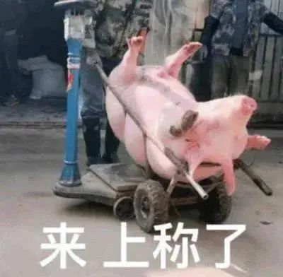 图片[24]-你别是个傻子吧-喜欢表情包分享—全网表情包