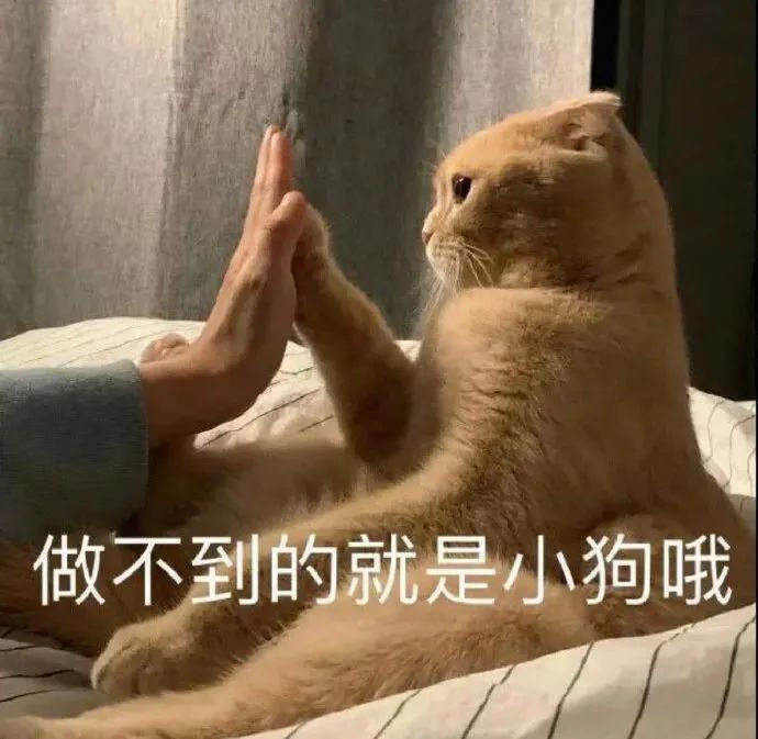 图片[10]-出来聊天啊-喜欢表情包分享—全网表情包