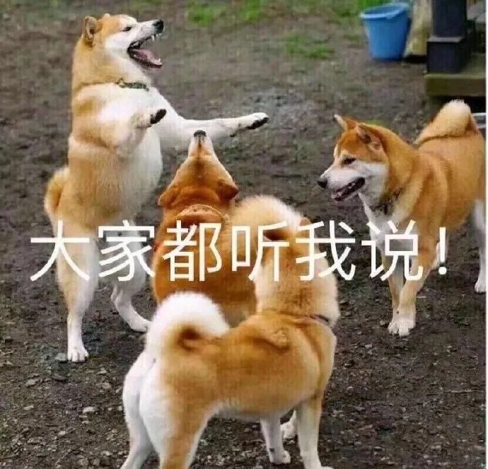 图片[2]-可爱的猫猫狗勾表情增加了-喜欢表情包分享—全网表情包