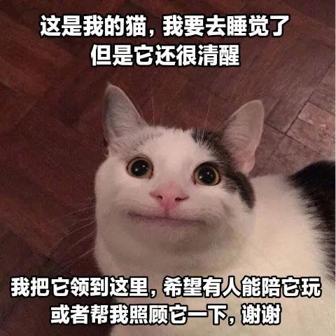 图片[12]-出来聊天！-喜欢表情包分享—全网表情包