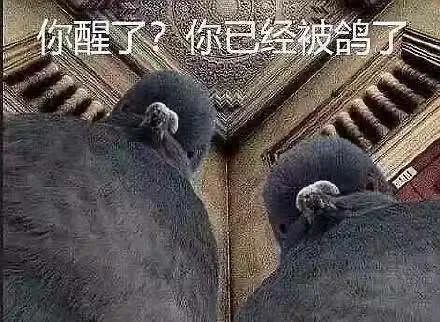 图片[4]-奇怪的表情增加了-喜欢表情包分享—全网表情包