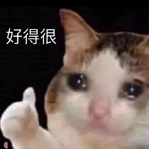 图片[3]-欺负窝-喜欢表情包分享—全网表情包