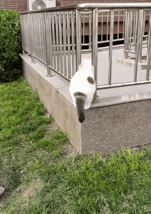 图片[1]-【GIF】哈哈哈嗝哈哈哈-喜欢表情包分享—全网表情包