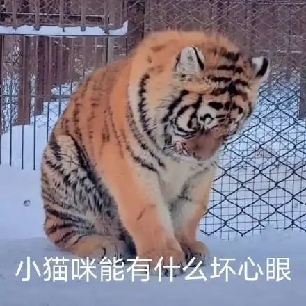 图片[19]-表情包 | 女人啊，还是要哄~-喜欢表情包分享—全网表情包