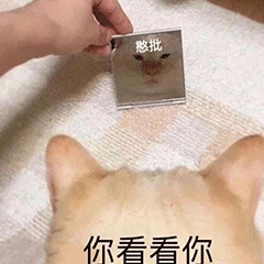 图片[1]-你要点脸-喜欢表情包分享—全网表情包
