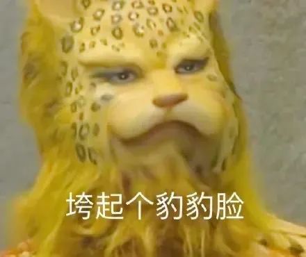 图片[18]-垮起个豹豹脸-喜欢表情包分享—全网表情包
