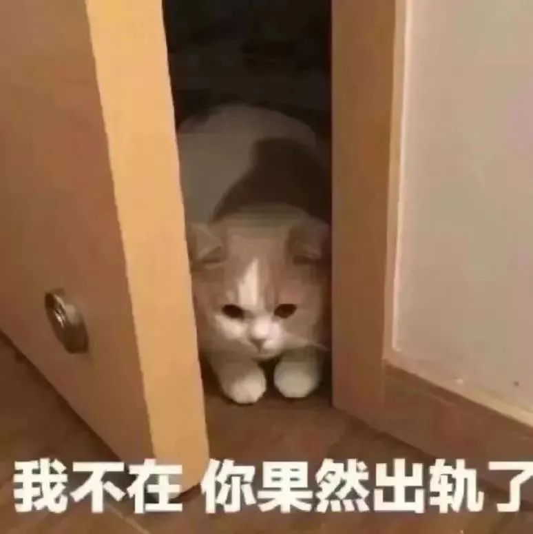 图片[5]-你老公走了吗？我推门咯-喜欢表情包分享—全网表情包