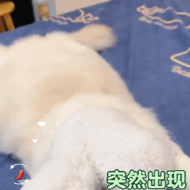 图片[10]-come on，宝贝-喜欢表情包分享—全网表情包