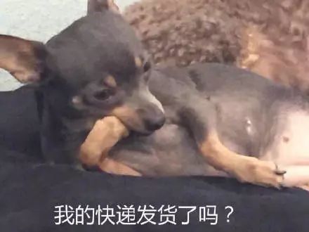 图片[11]-表情包 | 你不会以为自己很帅吧？-喜欢表情包分享—全网表情包