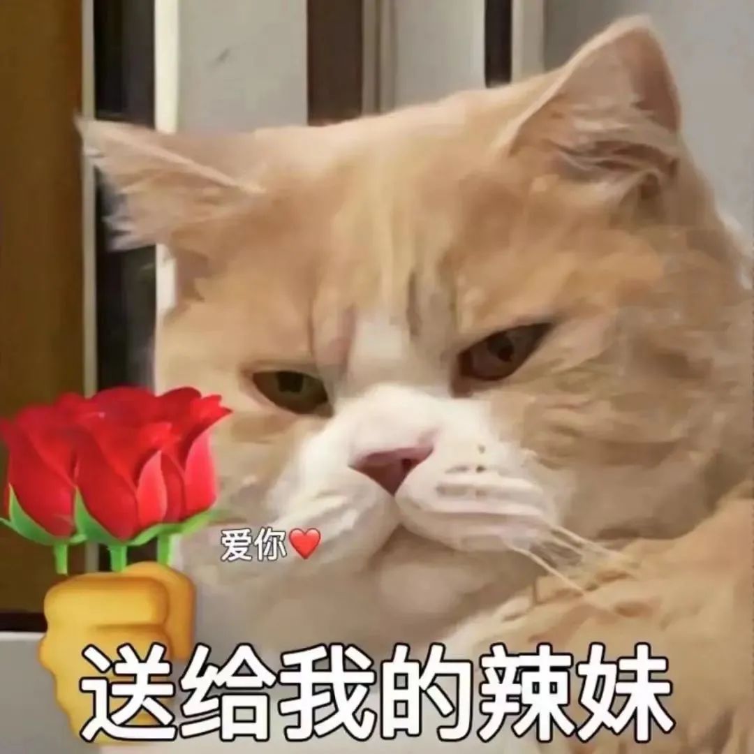 图片[4]-有亿点骚-喜欢表情包分享—全网表情包