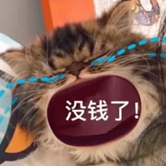 图片[15]-45个聊天撒娇必用大嘴猫表情-喜欢表情包分享—全网表情包