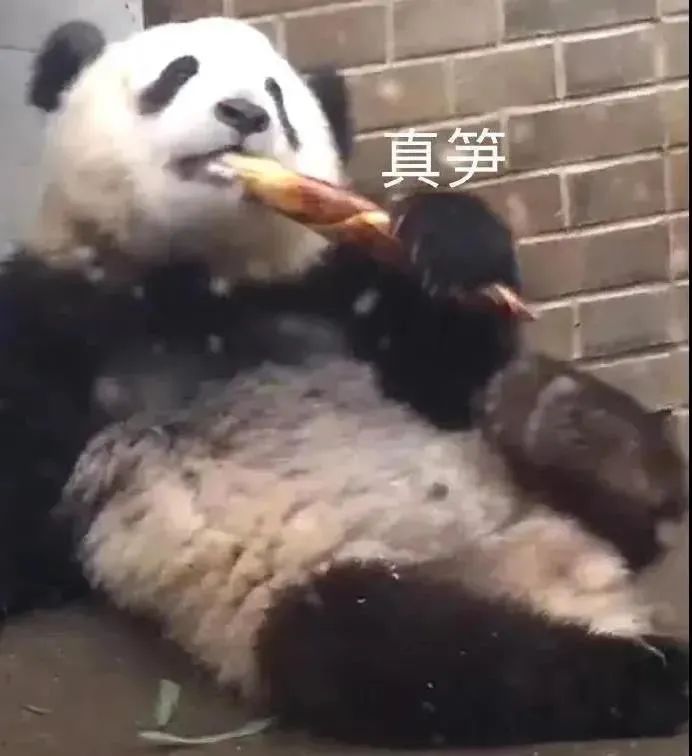 图片[5]-真是草了-喜欢表情包分享—全网表情包