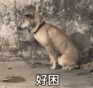 图片[1]-表情包-喜欢表情包分享—全网表情包