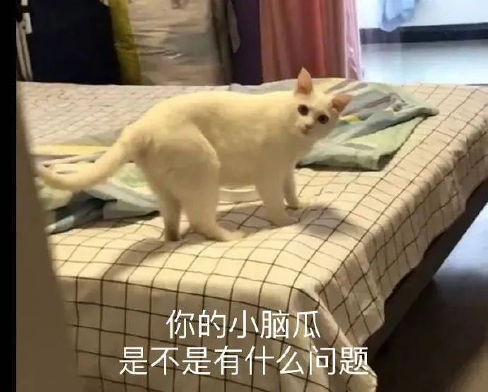 图片[33]-有空一起尿尿-喜欢表情包分享—全网表情包
