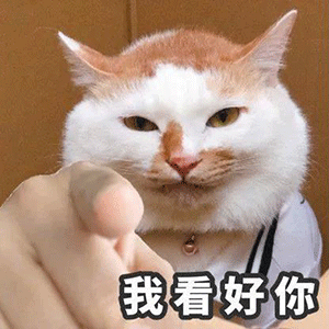 图片[9]-你在教我做事？-喜欢表情包分享—全网表情包