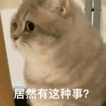 图片[55]-就你，给我看看你腹肌-喜欢表情包分享—全网表情包