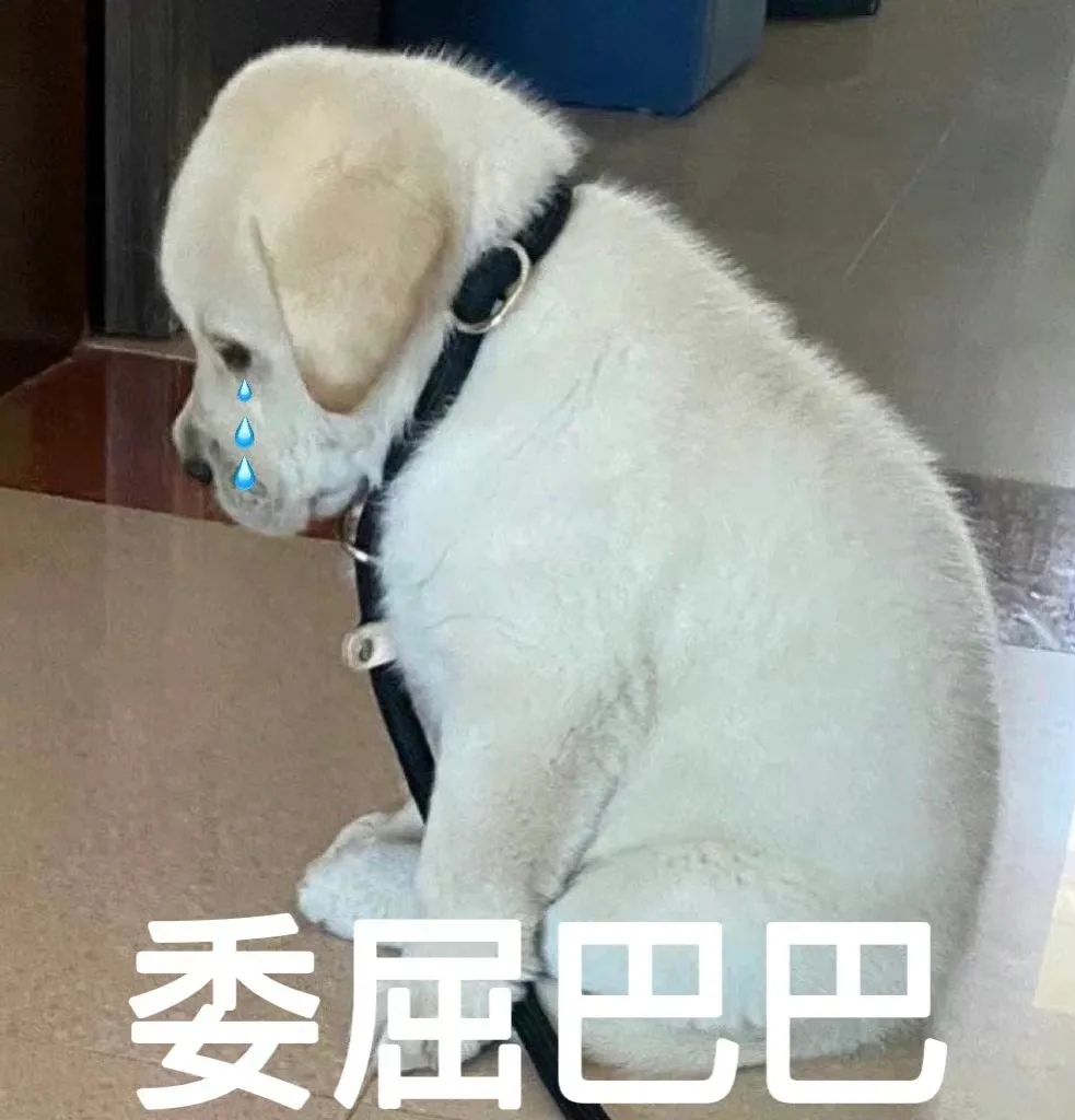 图片[15]-表情包-喜欢表情包分享—全网表情包