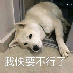 图片[20]-你要点脸-喜欢表情包分享—全网表情包