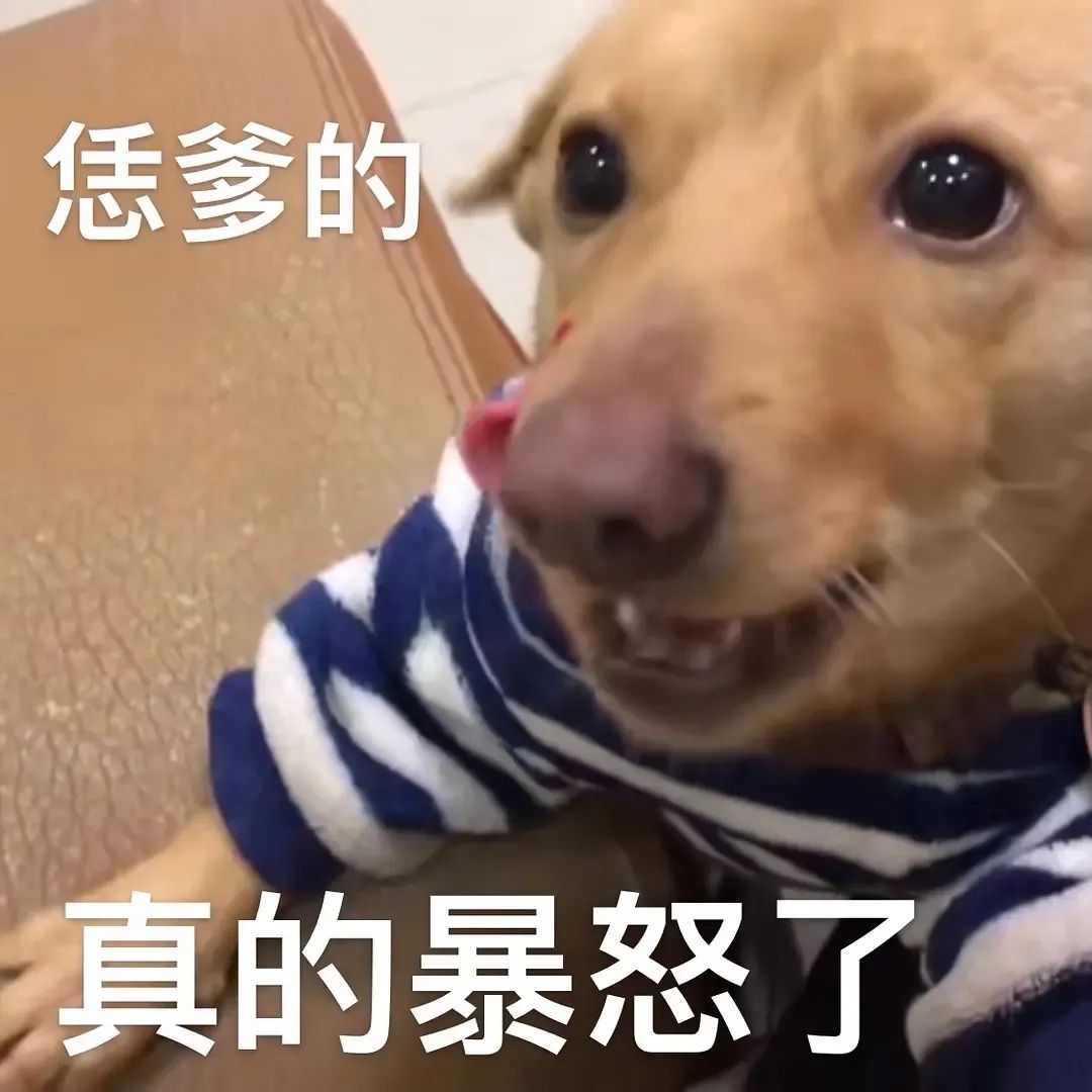 图片[20]-沙雕表情包-喜欢表情包分享—全网表情包