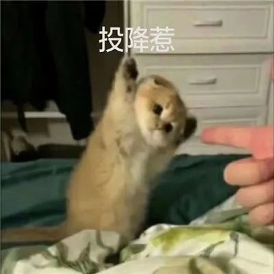 图片[5]-道歉专用表情包-喜欢表情包分享—全网表情包