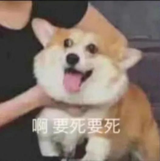 图片[15]-可爱的猫猫狗勾表情增加了-喜欢表情包分享—全网表情包