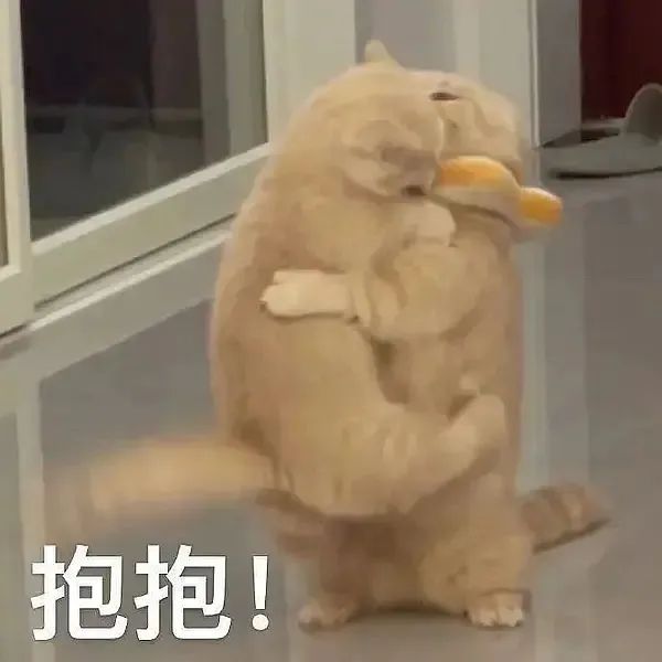 图片[6]-表情包-喜欢表情包分享—全网表情包