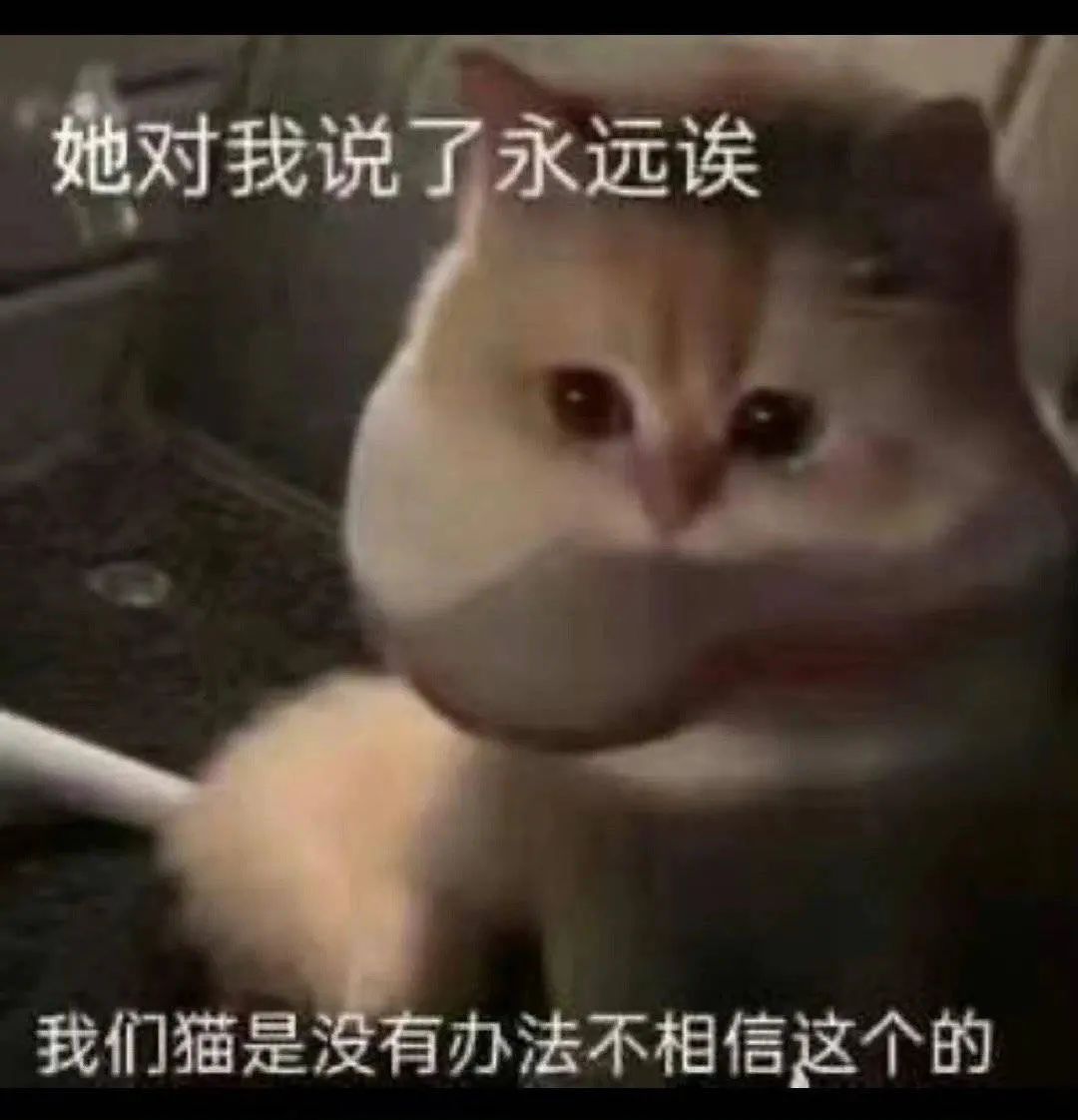 图片[20]-看到这个巴掌了吗-喜欢表情包分享—全网表情包